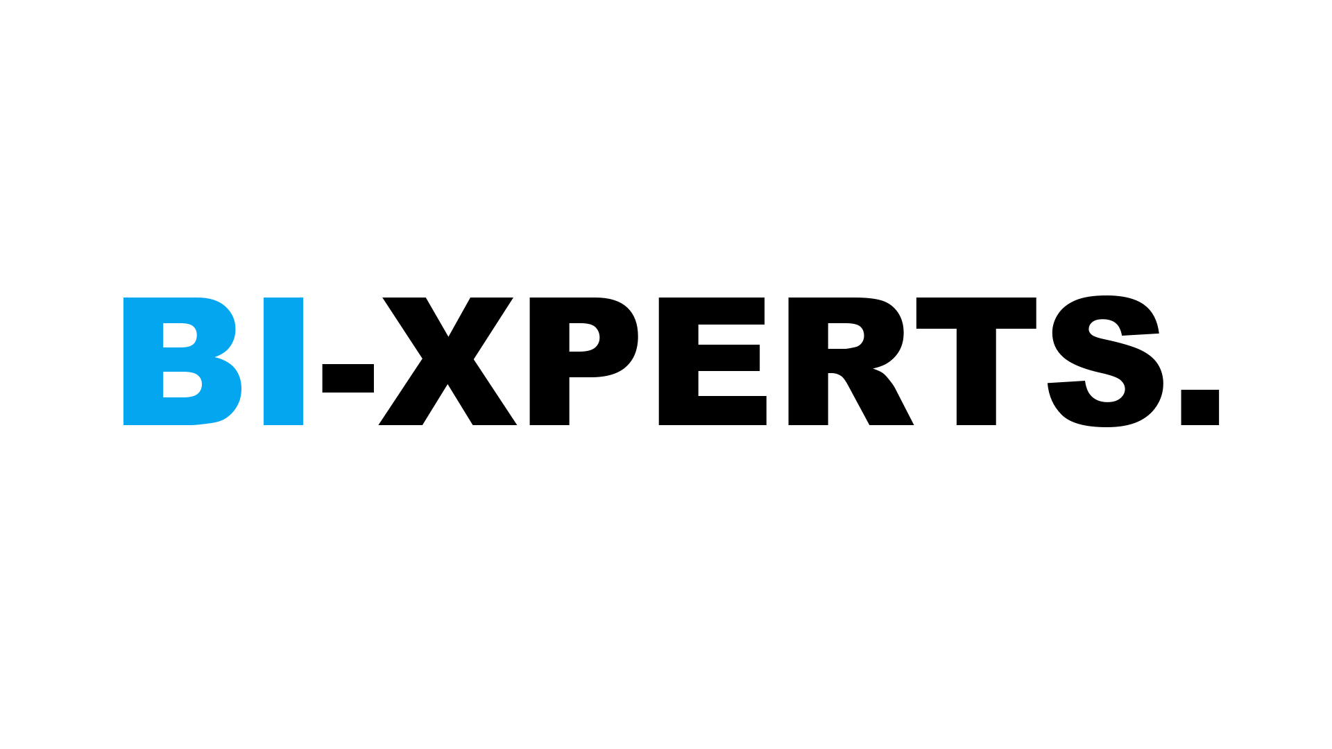 BI-Xperts