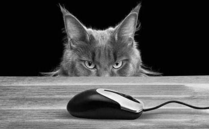 Microsoft verhoogt bijna alle prijzen per 1 juli 2026. Maar niet van Business Premium!